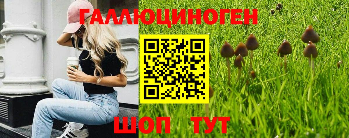 Меф МЯУ МЯУ   Кокаин  ГАШИШ  Цена  Сланцы  ЭКСТАЗИ  Каннабис  Вход с VPN 
