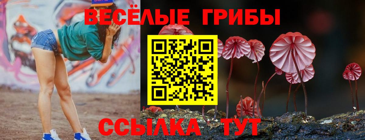 Галлюциногенные грибы Cubensis Сланцы