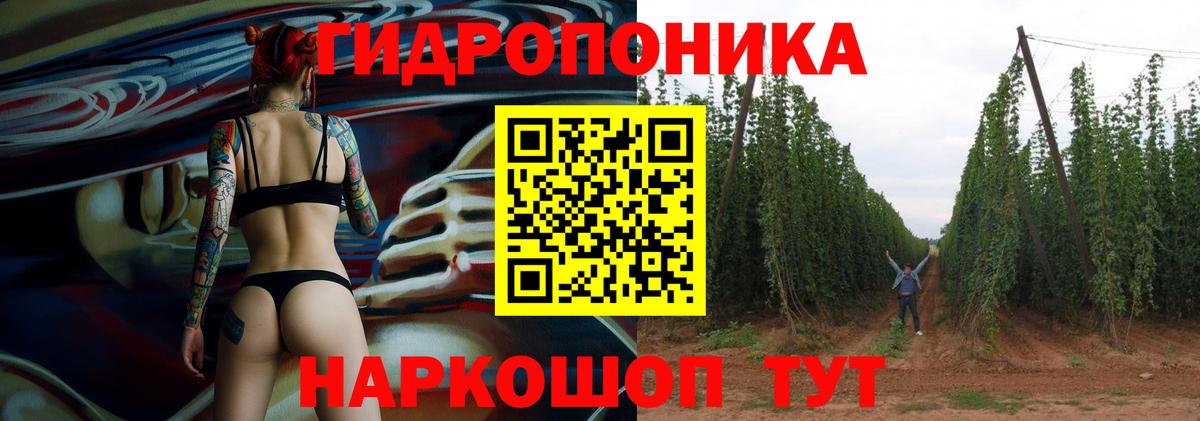 Конопля VHQ  Вход с VPN  Сланцы  Конопля планчик  Бошки Шишки сатива 